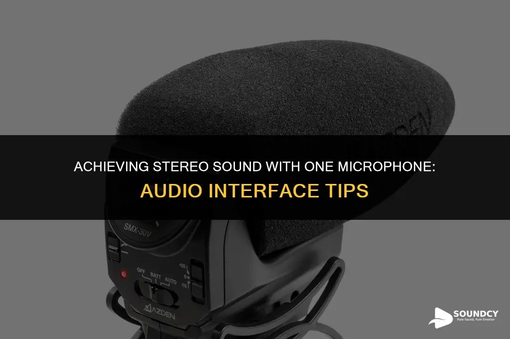 how to stereo sound from audio interface one micrphone