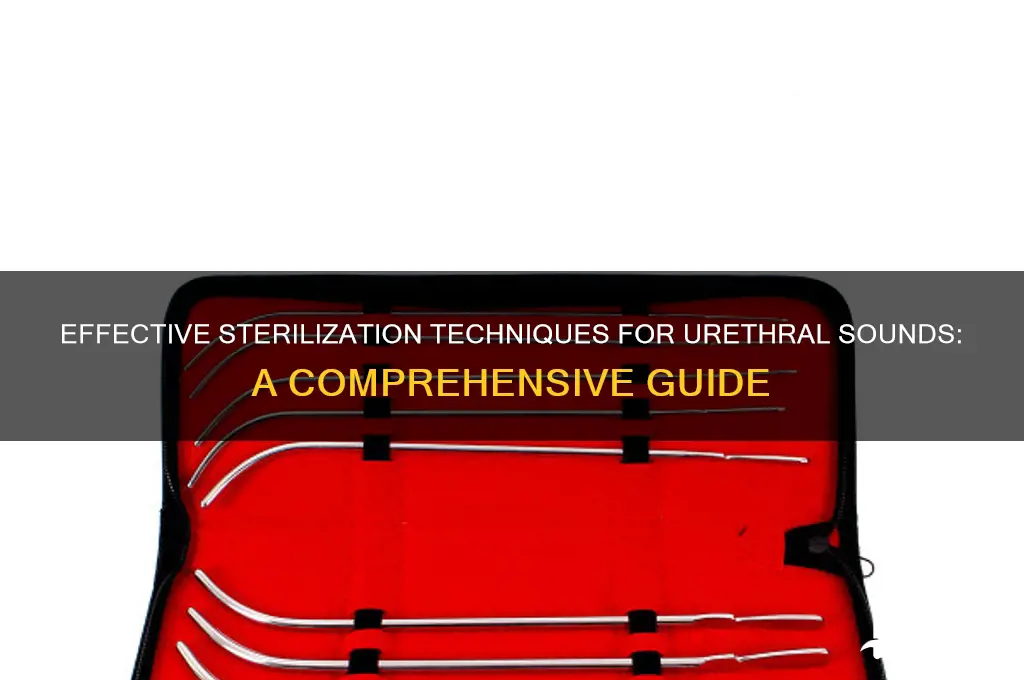 how to sterilize urethral sound