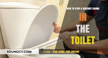 Silencing the Squeak: A Guide to Quieting Your Toilet