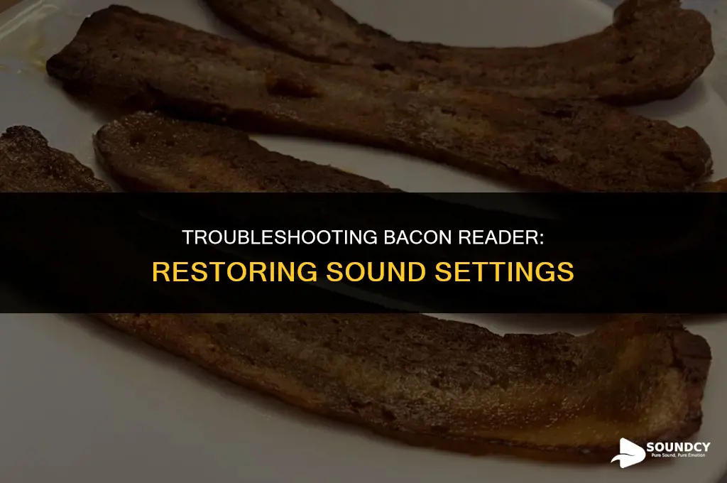how to stop bacon reader from messing with sound