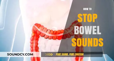 Effective Strategies to Silence Bowel Sounds Naturally and Comfortably
