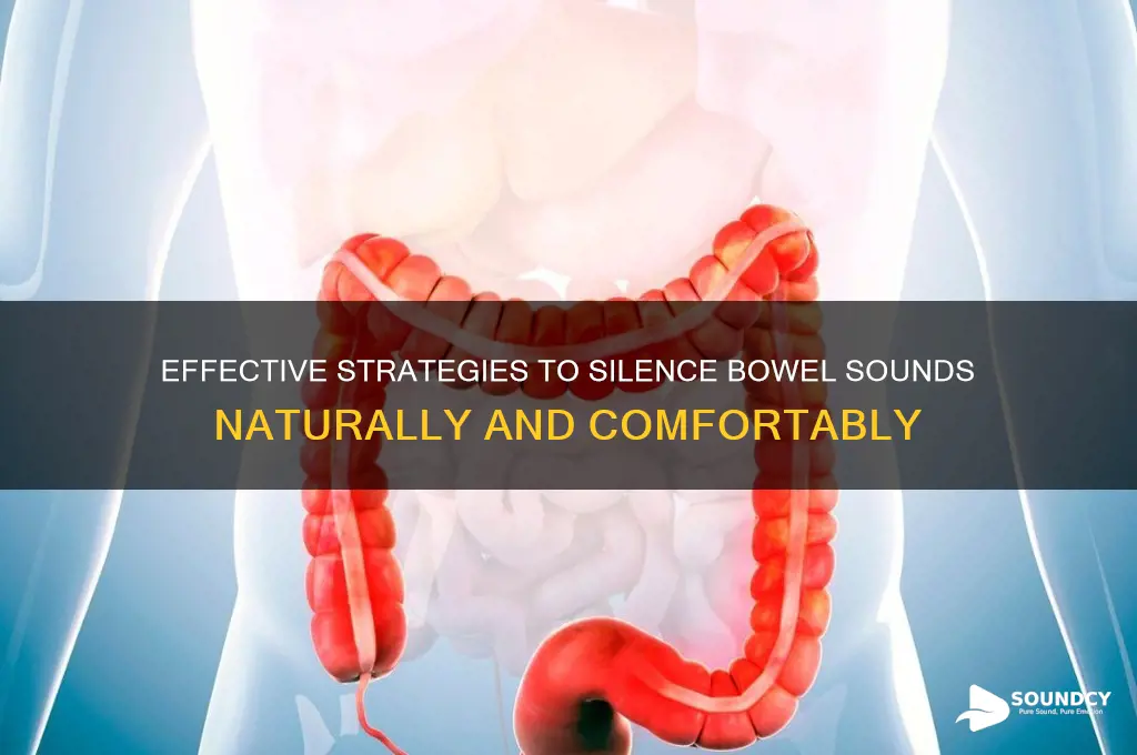 how to stop bowel sounds