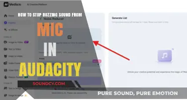 Silencing the Buzz: A Guide to Noise Reduction in Audacity