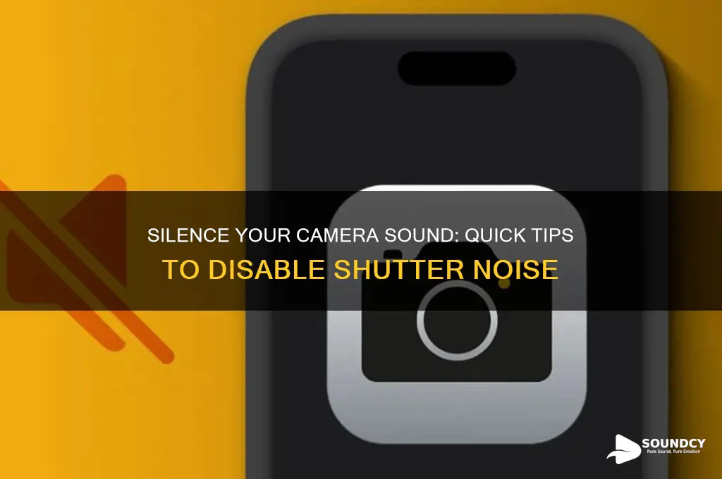how to stop camera sound