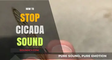 Effective Ways to Silence Cicada Sounds and Restore Peaceful Nights