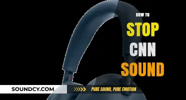 Effective Ways to Mute CNN Sound on Your Devices