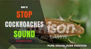 Silence the Scurry: Effective Ways to Stop Cockroach Noises
