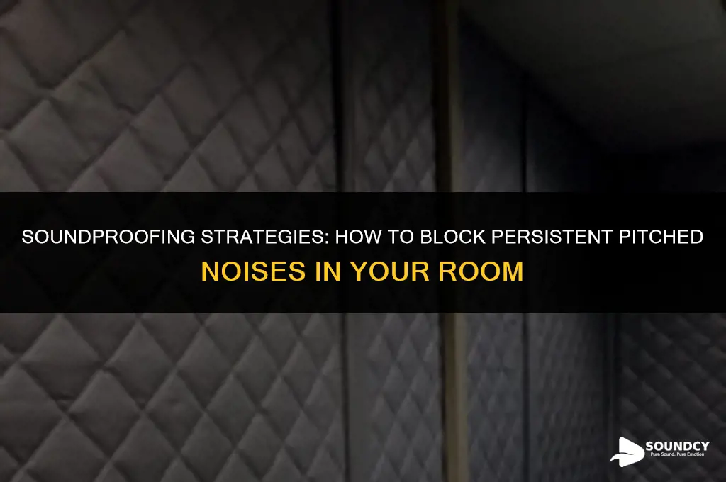 how to stop constant pitched sounds coming in room