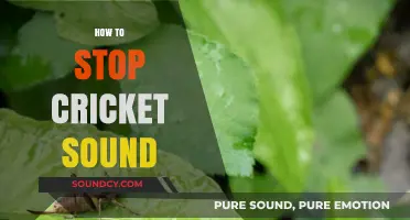 Effective Ways to Silence Annoying Cricket Noises in Your Home