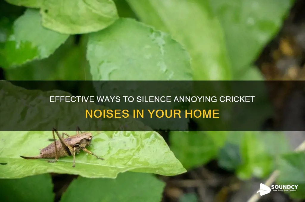how to stop cricket sound