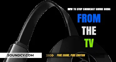 Silencing Chromecast: How to Stop Sound from Your TV