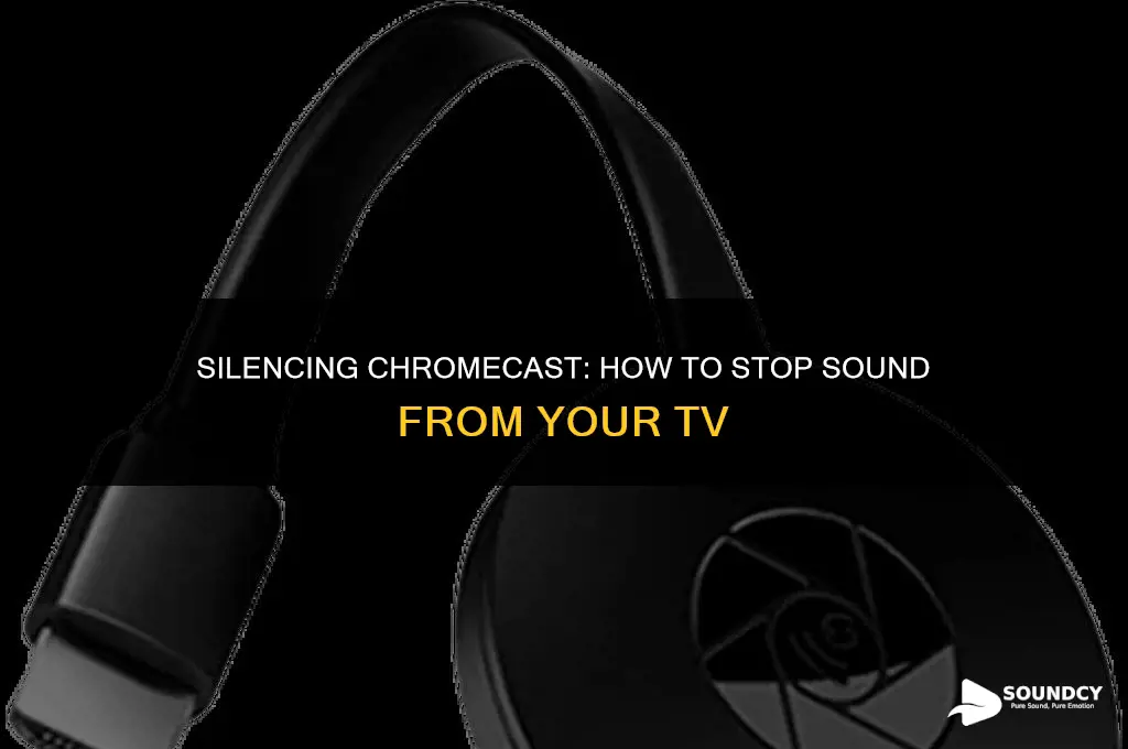how to stop cromcast sound going from the tv