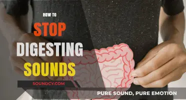 Silence the Noise: Effective Strategies to Stop Digesting Sounds