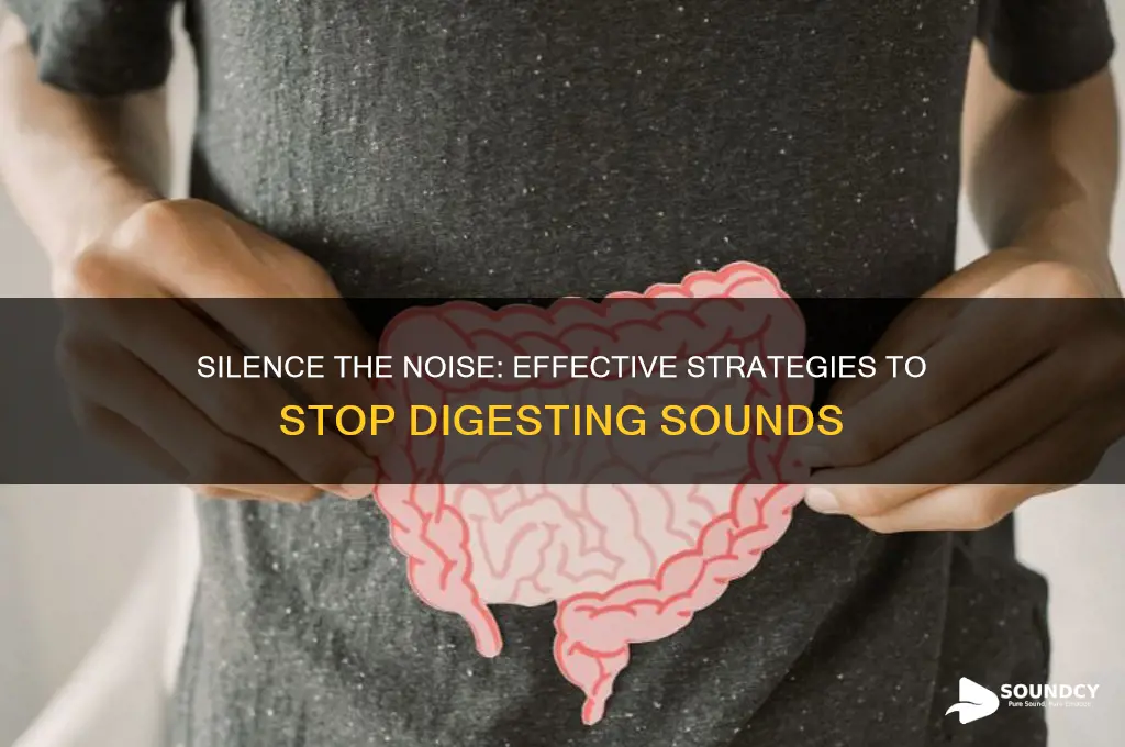 how to stop digesting sounds