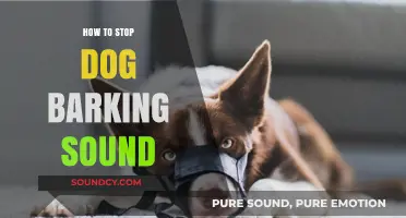 Silence Your Dog's Barking: Tips and Tricks