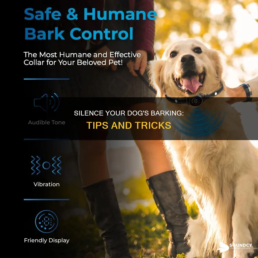 how to stop dog barking sound