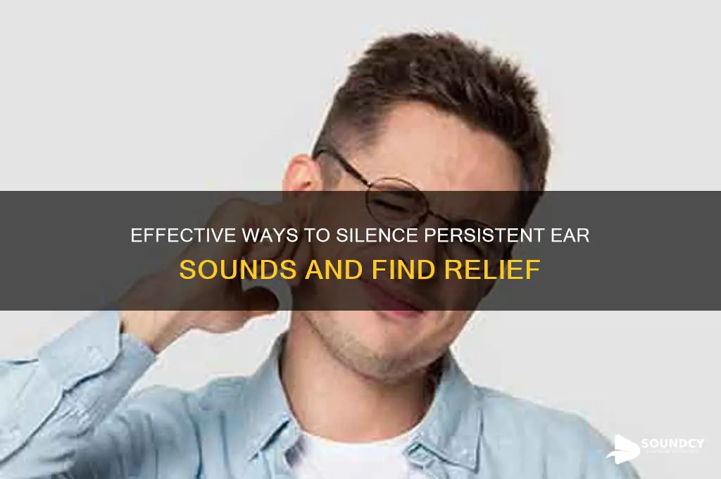how to stop ear sound