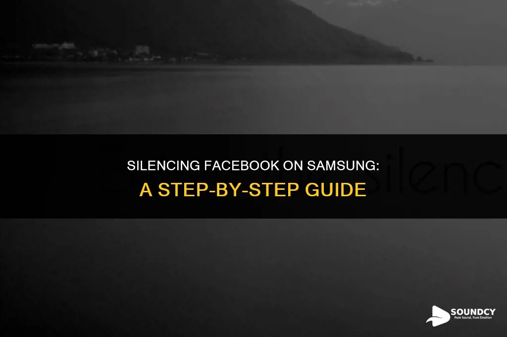 how to stop facbook on samsung form making sounds
