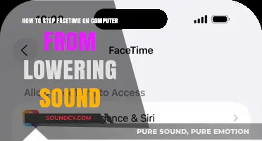 Preventing Facetime on Computer from Lowering Your Sound