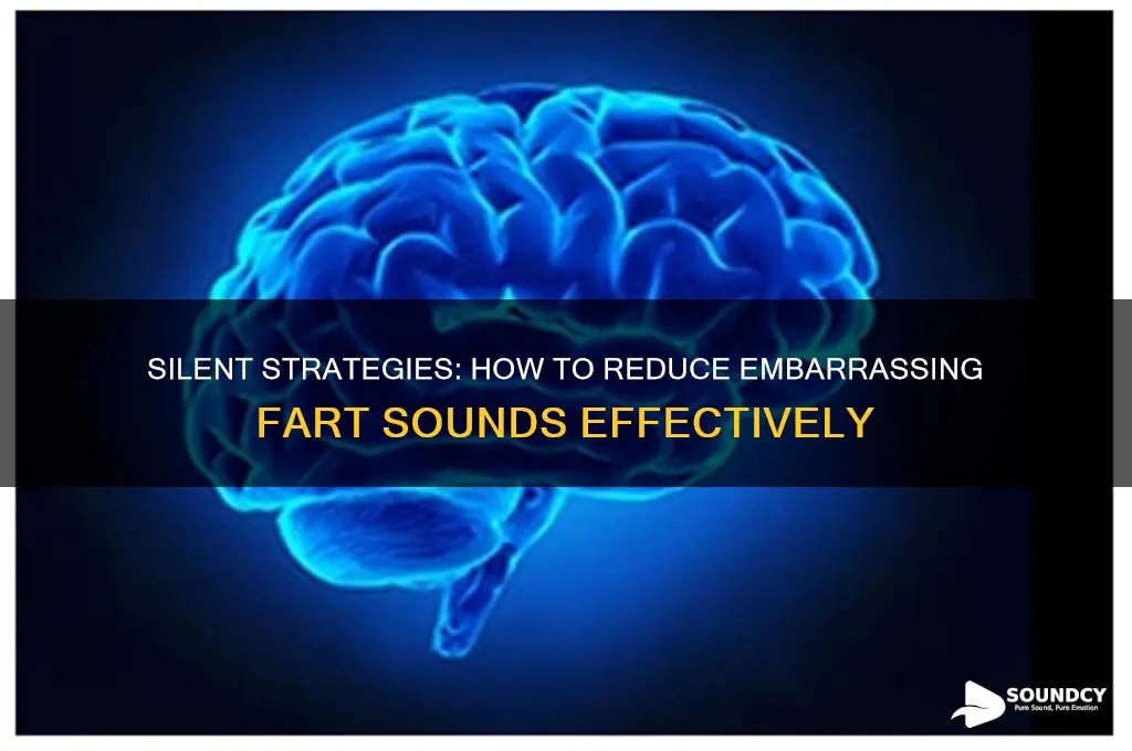 how to stop fart sound