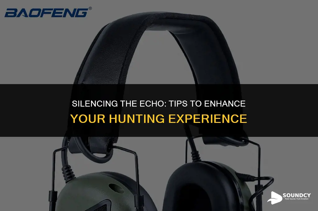 how to stop he echo sound in the hunt
