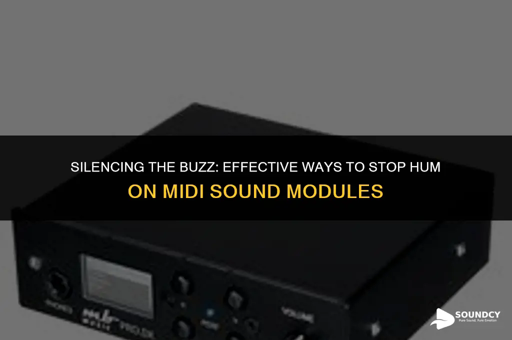 how to stop hum on a midi sound module