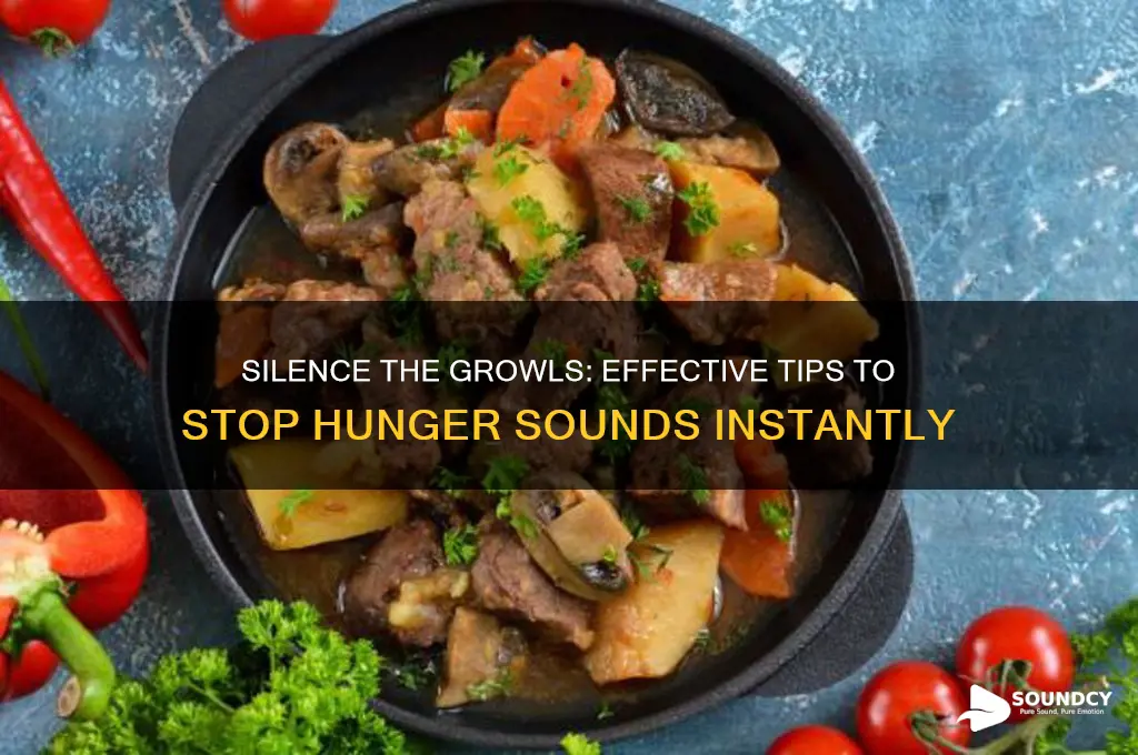 how to stop hunger sounds
