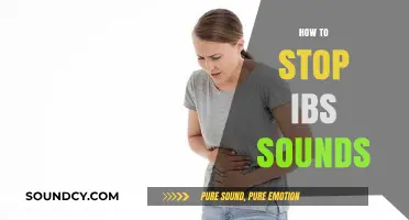 Effective Strategies to Silence Embarrassing IBS Noises Naturally