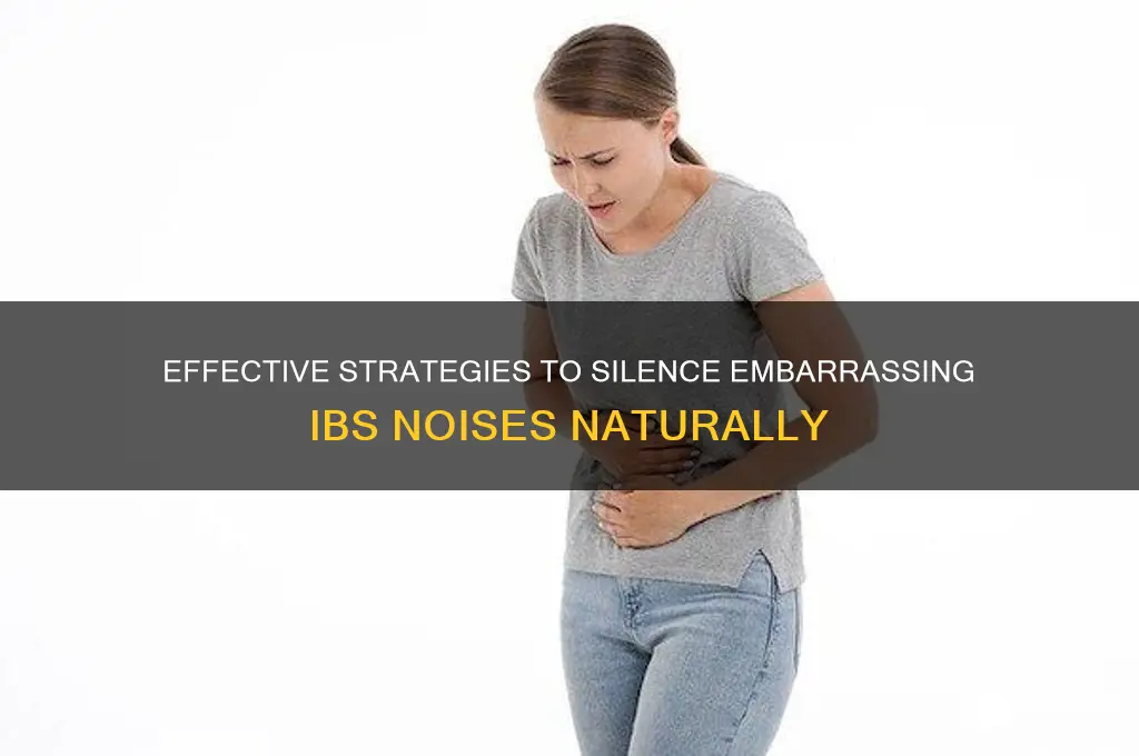 how to stop ibs sounds