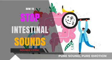 Quiet Your Gut: Effective Ways to Silence Intestinal Noises