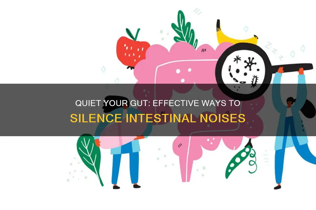 how to stop intestinal sounds