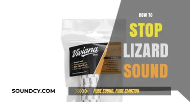 Effective Ways to Silence Lizard Sounds in Your Home