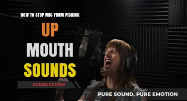 Silencing the Snacks: Tips to Stop Your Mic from Picking Up Mouth Sounds