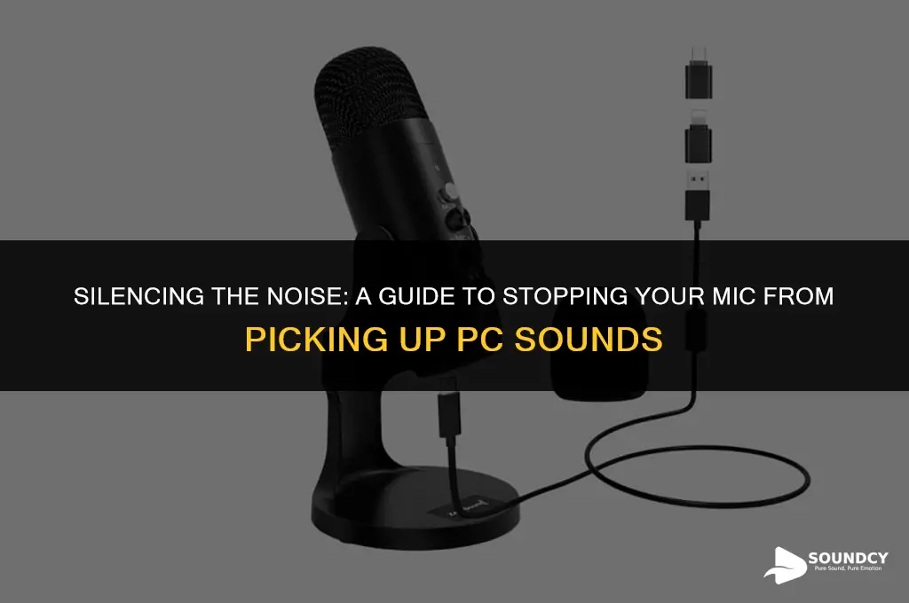 how to stop mic from picking up pc sounds