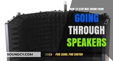 Effective Ways to Prevent Microphone Sound from Playing Through Speakers