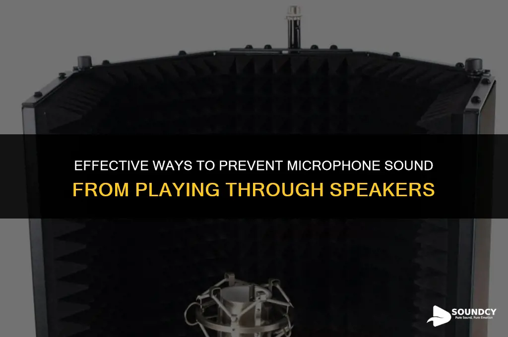 how to stop mic sound from going through speakers
