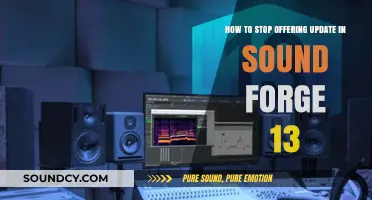 Cease Sound Forge 13 Update Prompts: A Step-by-Step Guide