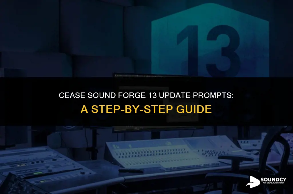 how to stop offering update in sound forge 13