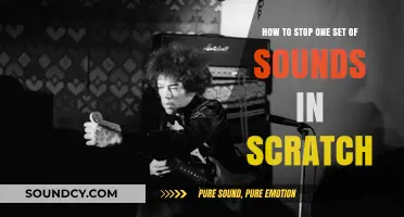 Mastering Sound Control: A Guide to Muting Specific Sounds in Scratch