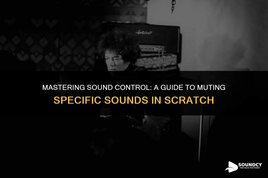 how to stop one set of sounds in scratch