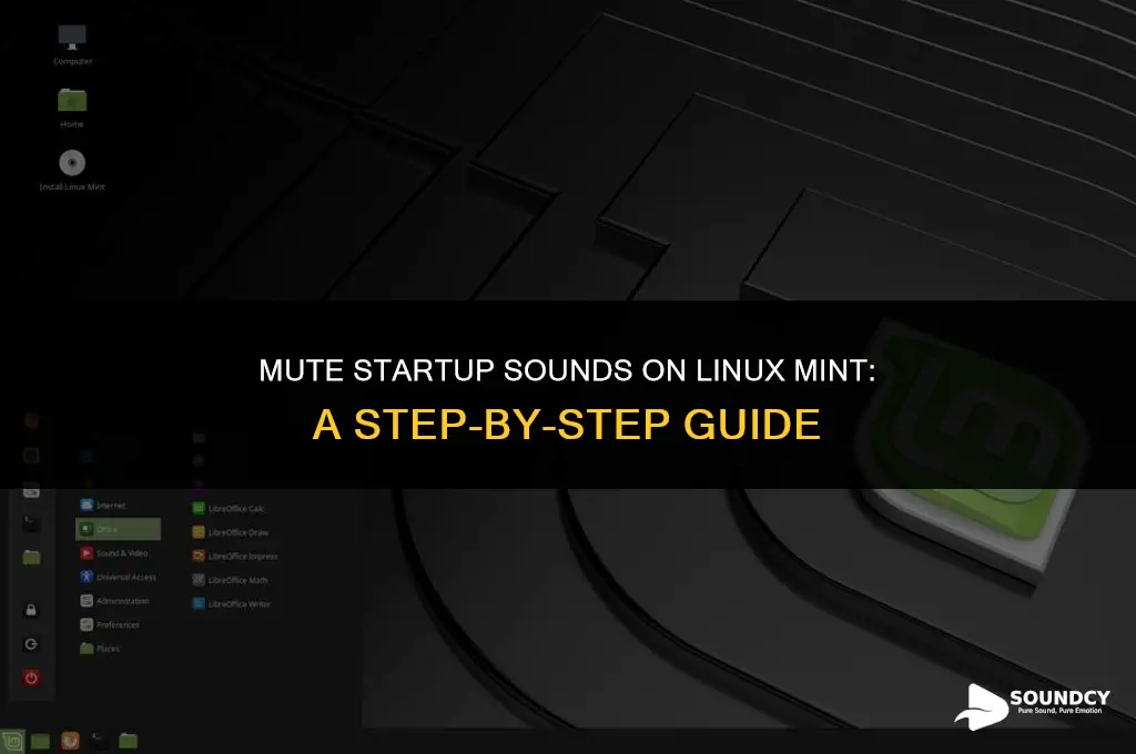 how to stop powering up sound on linux mint