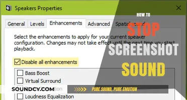 Silence Your Screen: How to Disable Screenshot Sounds Easily