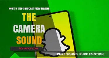 Silencing Snapchat: How to Disable Camera Sounds Easily
