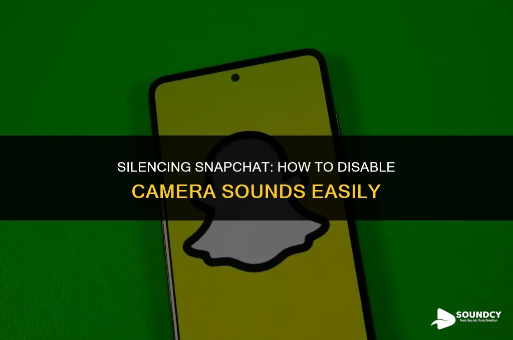 how to stop snapchat from making the camera sound