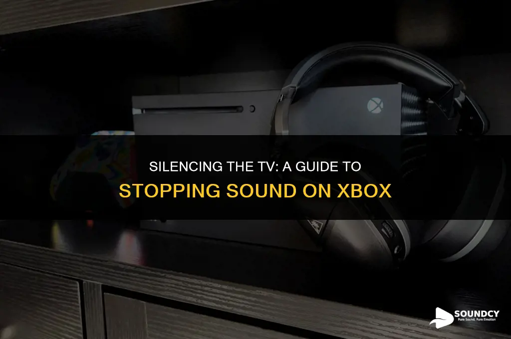 how to stop sound coming through tv on xbox