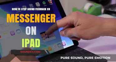 Silencing the Echo: Stopping Sound Feedback on Messenger for iPad