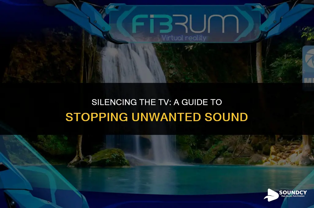 how to stop sound from comin out of tv