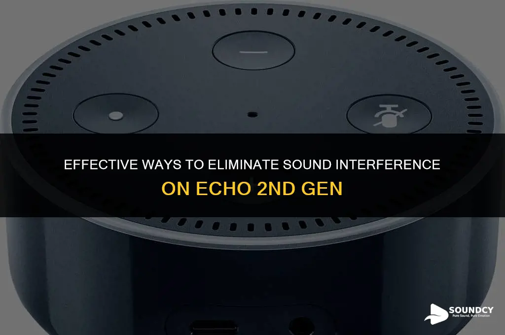 how to stop sound interference on echo 2nd gen
