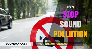 Effective Strategies to Combat Noise Pollution and Restore Quiet Environments