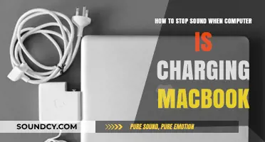 Silencing the Charging Noise: A MacBook User's Guide